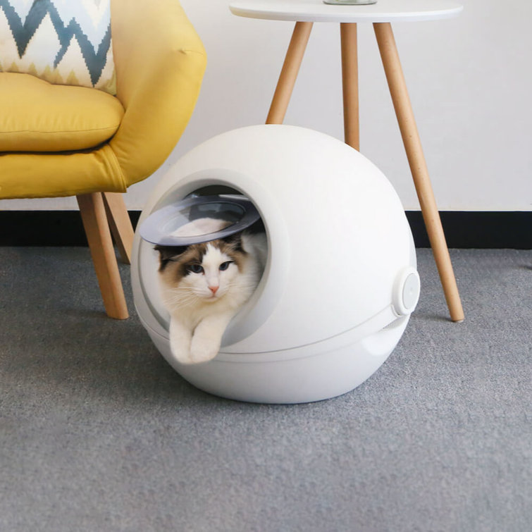 Archie & Oscar Mueller Standard Litter Box & Reviews Wayfair.co.uk